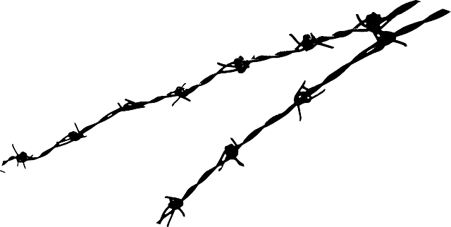 Countries and Borders 1